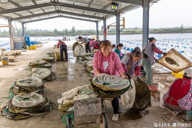 德州陵城区：水蛭养殖成致富“软黄金”