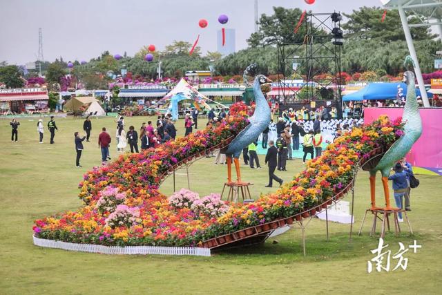 深读｜中国花木，何以横栏？