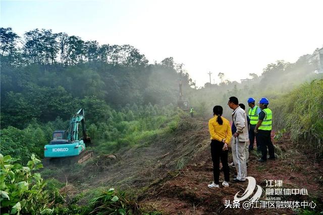 重庆最大蛋鸡养殖项目在江津白沙镇开建