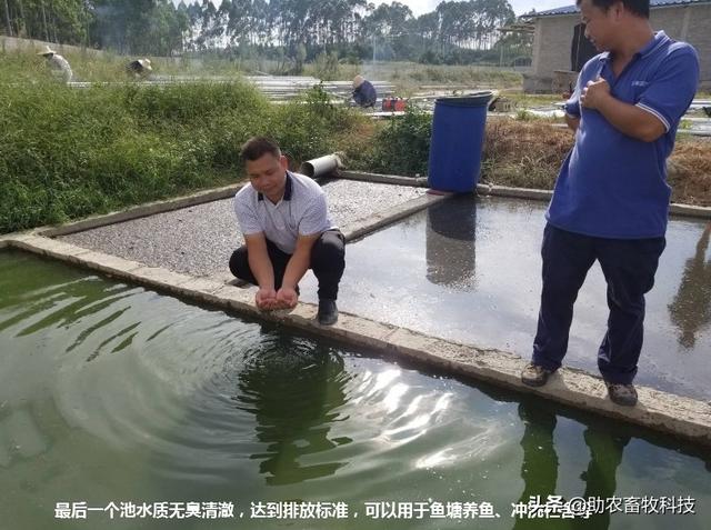 养殖场如何仅用几个储液池、将污水（废水）处理达到排放标准技术