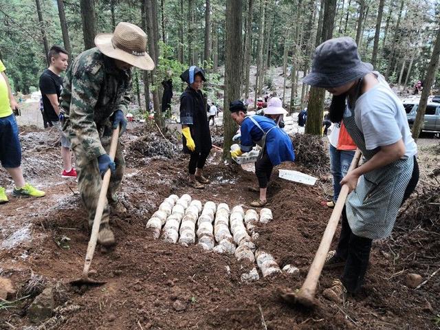 记者走基层·共赴小康约｜晴隆：“忧居”变“优居”，换个活法也得行