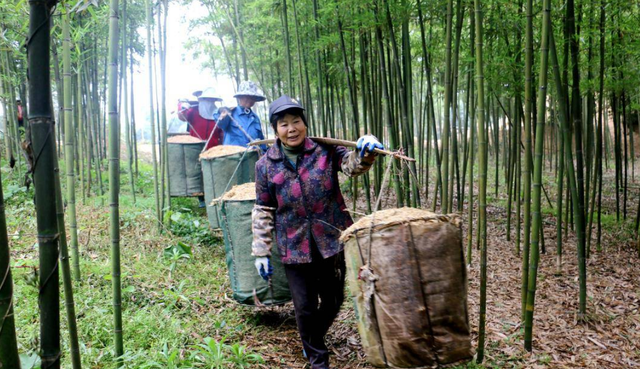 没人要的稻壳被大叔转手1吨卖660，你猜有啥用途？种菜养花效益高