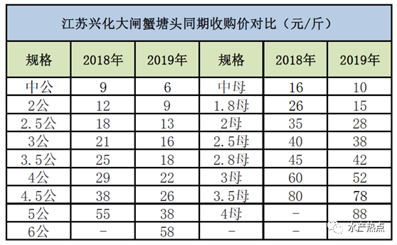 今年大闸蟹价格便宜，养殖户赚钱难？有新手养殖户投资140万，预计能盈利四五十万