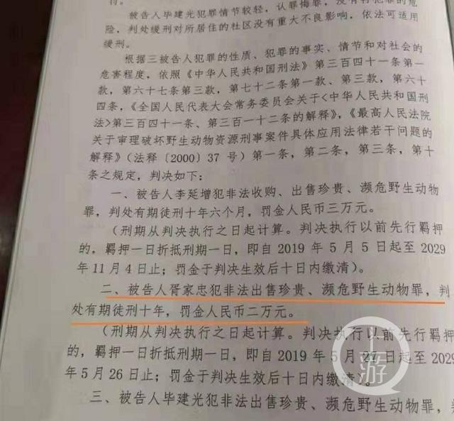 男子出售41只家养鹦鹉获刑10年 儿子：这不是冤枉吗