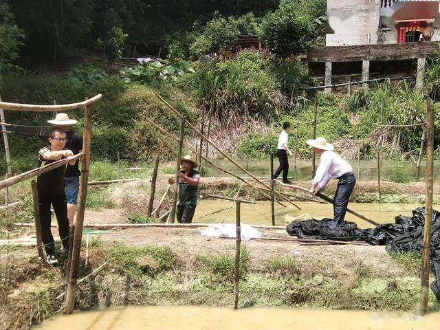 惊！又一地拆除牛蛙养殖场，要求不能再养！绿色转型迫在眉睫