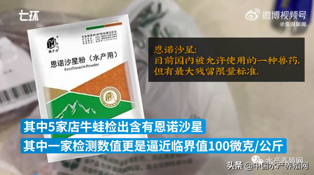 惨！跌价减销，抗生素超标被曝光！疫情之下牛蛙产业何去何从？