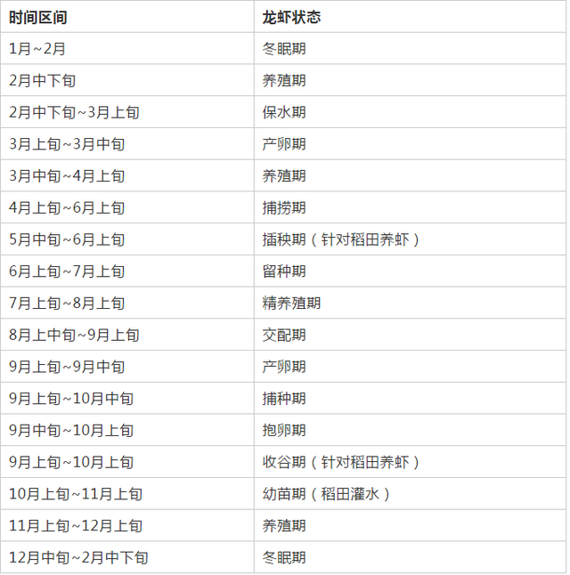 养殖经验：养殖小龙虾周期表，新手养殖户跟着时间表学养殖