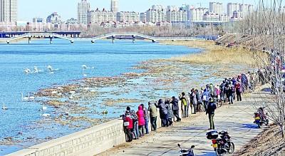 中央媒体看辽宁丨光明日报：坚持治山治水治城一体推进——辽宁省锦州市推动生态文明建设的生动实践