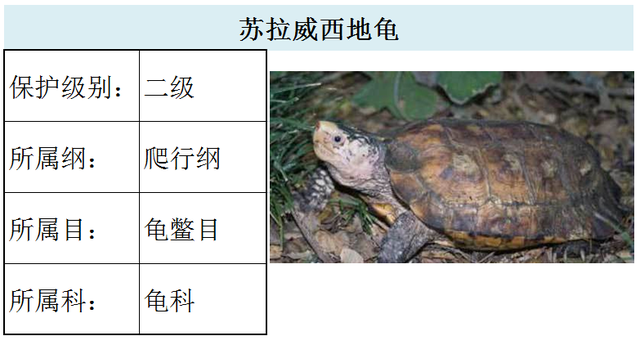 国家最新水生野生保护动物名录（共计三百余种），第3期