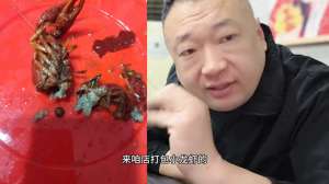 聊城现代龙虾养殖场(昨天下午5点左右来拿龙虾的联系我了#好吃不贵经济实惠)