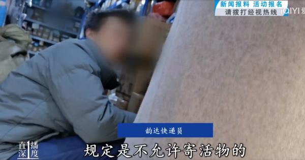 “成堆的动物尸体”！屡禁不止！快递点又现这种快递……