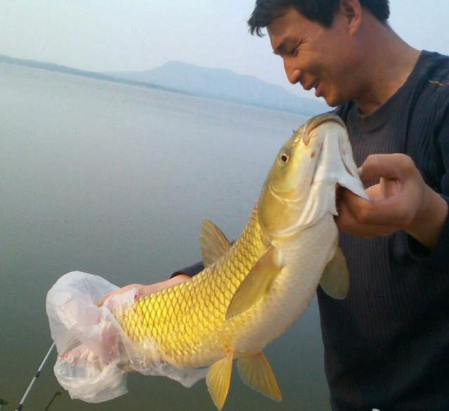 谁说大草鱼难钓？从四个方面探究，分享三种钓法