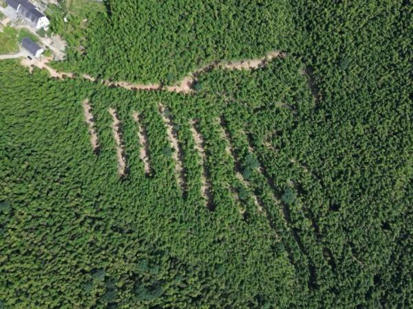 浙江新增8个省级生物多样性体验地，有你去过的吗？