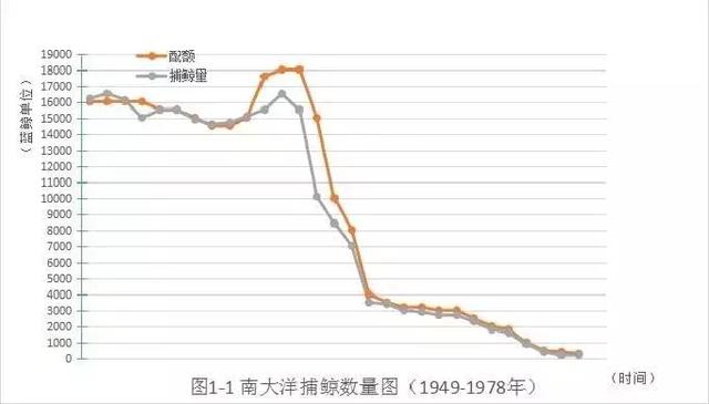 罕见退群！高素质的日本人为什么不顾国际社会反对肆意捕杀鲸鱼？