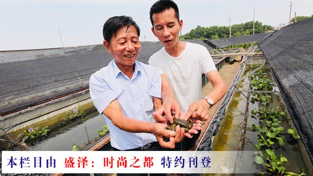 江苏24小时·滚动推送｜苏州市吴江区：水蛭养殖带动百姓致富