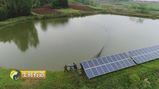 湖北省十堰市余家湾：生态种植村带来新财路！村民在家门口实现1年收入十几万