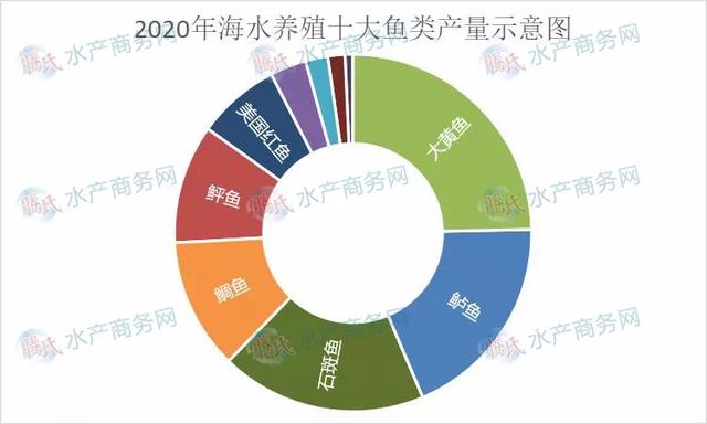 海水养殖十大鱼类产量变化大，大黄鱼跃涨首位，石斑鲈鱼争二三