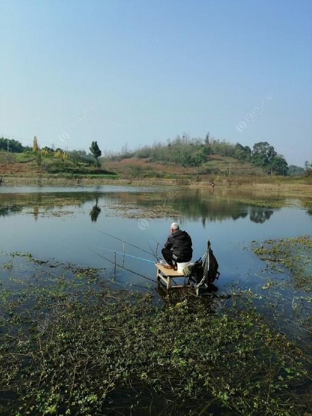 万物复苏鱼儿肥，野河野钓这几个因素要了解