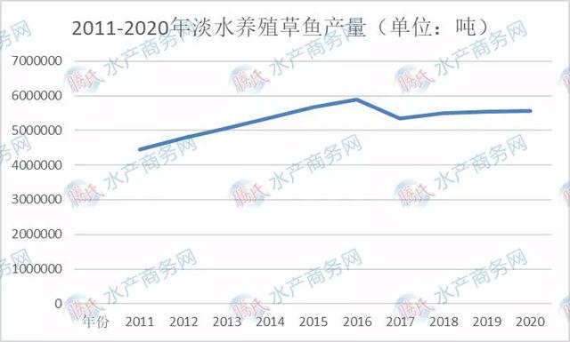 淡水养殖六大鱼类发展趋同，草鱼稳居首位，鳙鱼赶超鲤鱼挤进前三
