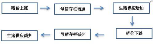 生猪产业链基础及行业供需