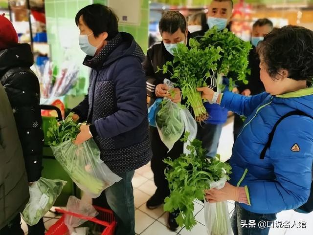 上海奇人：养鱼不换水，种菜不施肥，年入3600万，疫情在家也不愁