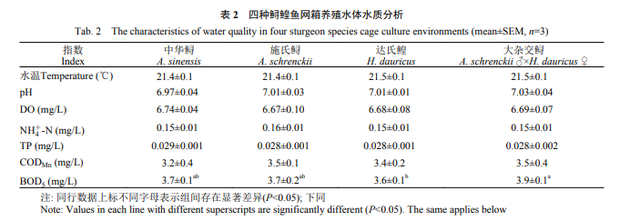 网箱养殖鲟鳇鱼时，如何避免水体中潜在病原菌，提高鱼苗存活率？