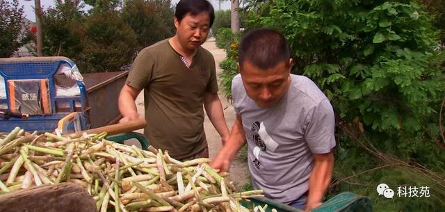 神秘来客，变废为宝，带来节省百万的妙招！