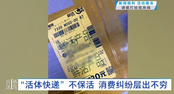 “成堆的动物尸体”！屡禁不止！快递点又现这种快递……