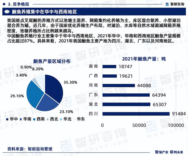 行业干货！智研咨询发布：2023年中国鮰鱼行业市场分析报告