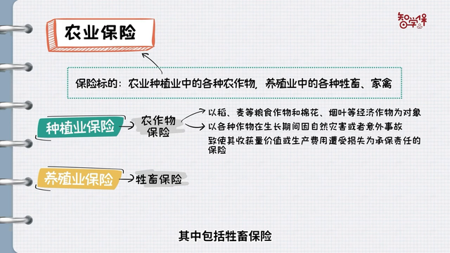 你知道吗？牲畜、家禽也可以上保险#保险