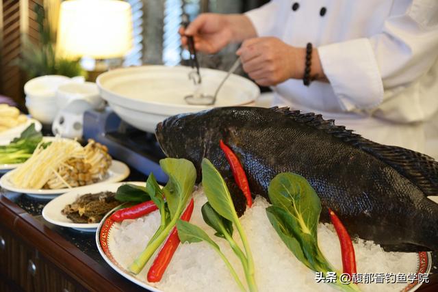 龙趸鱼怎么钓？用哪种鱼饵？龙趸鱼的生活习性和垂钓技巧