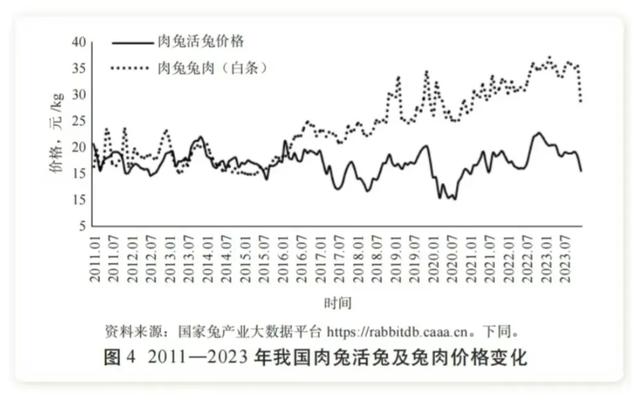 兔子养殖：未来前景与盈利机会探究！