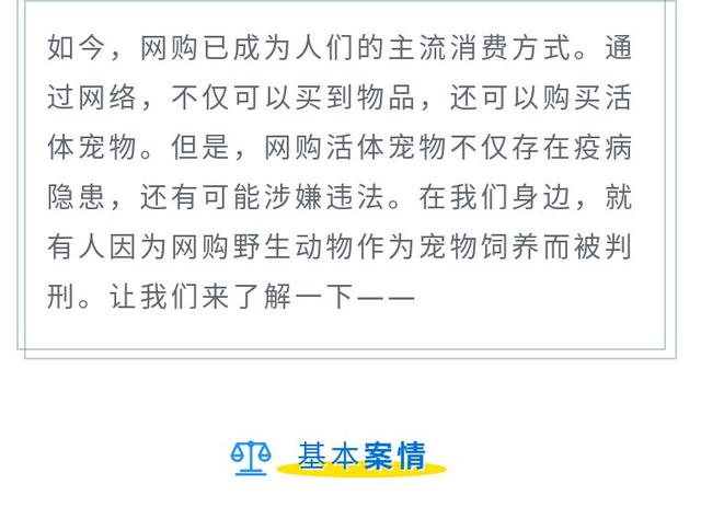 【罗检说法】网购野生动物当宠物被判刑，喜爱也要坚守法律底线