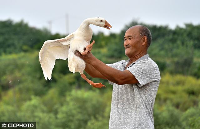 多种养殖助增收