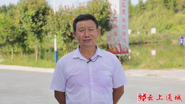 通城：把“鱼儿的家”搬进“圈养桶” “零排放”环保养鱼产量提高10倍