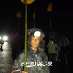 滩涂鱼养殖(福建男子承包200亩滩涂，如今滩涂变成聚宝盆，年销售额2500多万)