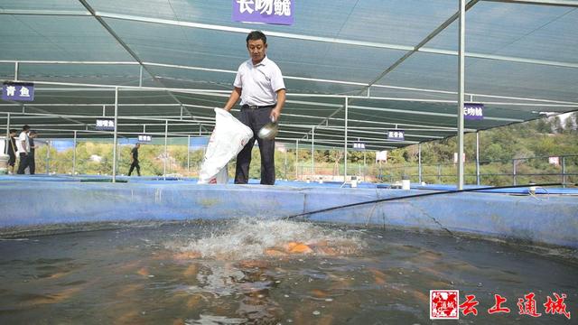 通城：把“鱼儿的家”搬进“圈养桶” “零排放”环保养鱼产量提高10倍