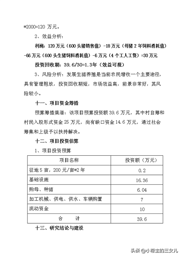 兴建生猪规模化养殖基地项目可行性研究报告(word文档)