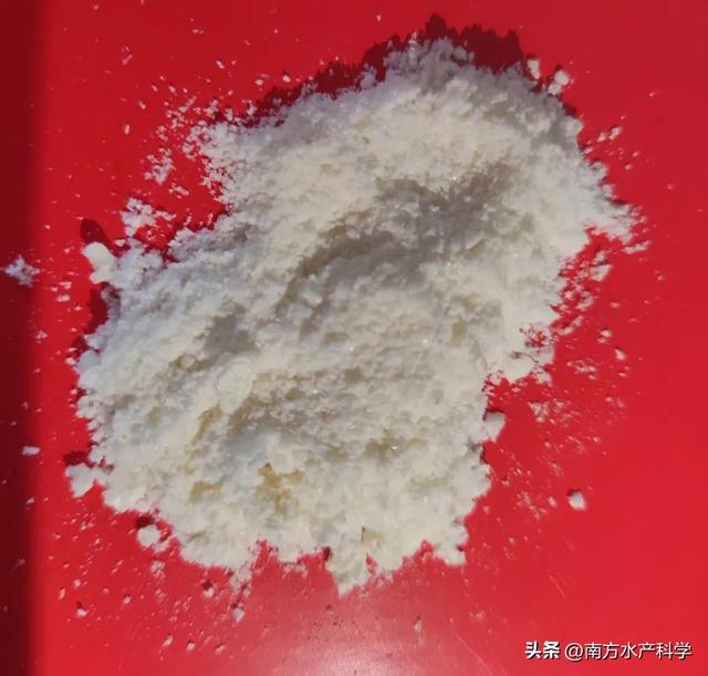 变废为宝｜利用鮸加工废弃物制备降糖活性肽