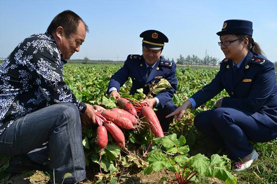 山东公示农民合作社监测名单 这328家单位上黑榜