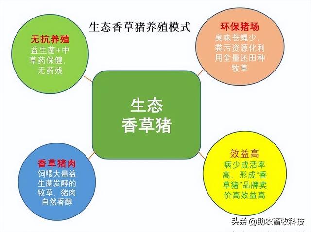 当前政策下养殖场粪污资源化利用与南方牧草种植的融合之道