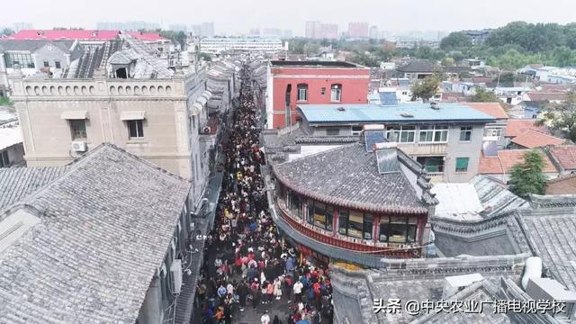 【农广天地】盐碱地上挖池塘 养啥啥不行 地上蝗虫水中虾赚钱翻倍