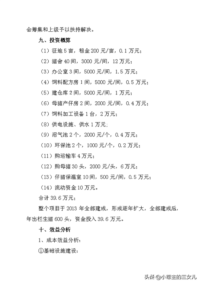 兴建生猪规模化养殖基地项目可行性研究报告(word文档)