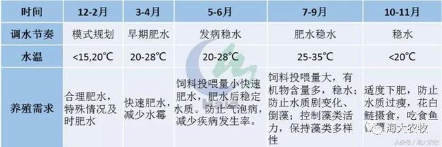 养花白鲢，也能赚起大钱！花白鲢持续高产的背后，有妙招