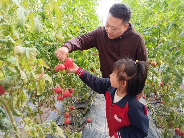 晋源区西邵村：撂荒地建起温室群 奏响“振兴曲”