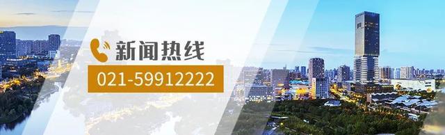 嘉定爷叔在稻田里养出“宝”，预计年利润达100000+