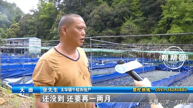 污水直排、违规选址！多个牛蛙养殖点面临清理，守牢生态红线！