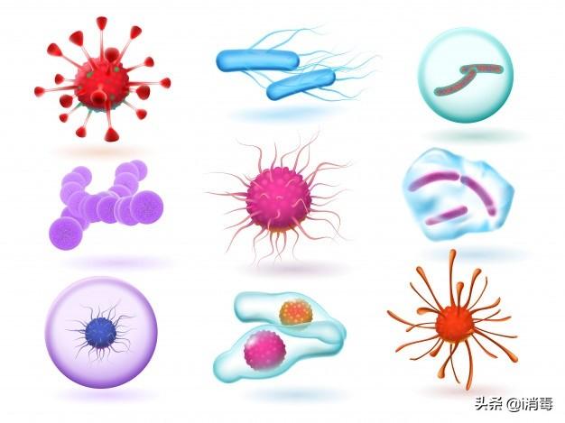 家禽、家畜养殖过程中，常见微生物控制办法