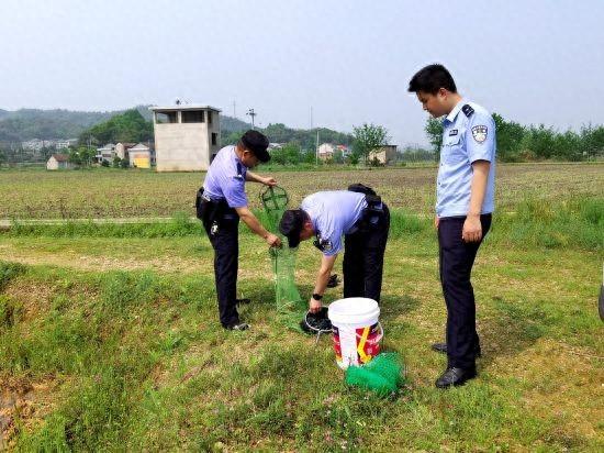 湖南桃江男子深夜捕捉蛙类 巡逻民警当场抓获