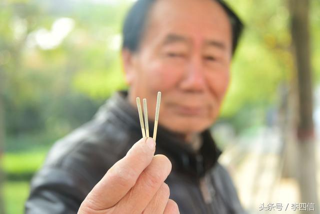 郑州：绿化工人抓住天牛幼虫越冬时节 进行药物毒杀